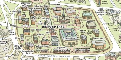 Térkép, a Harvard egyetem